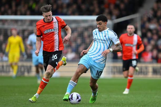 不仅赢得了 不仅赢得了