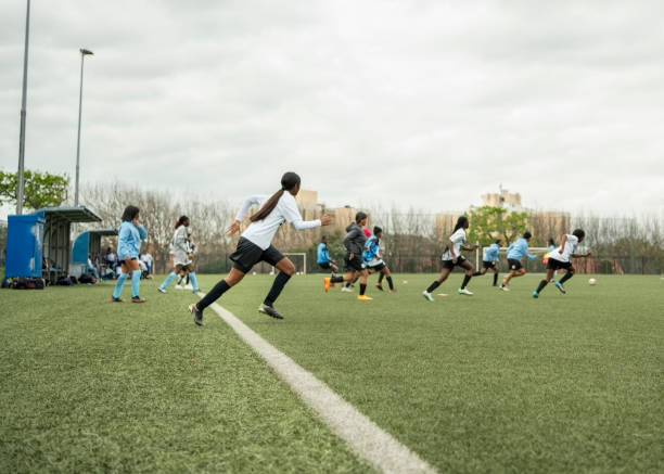 了球迷和专 了球迷和专